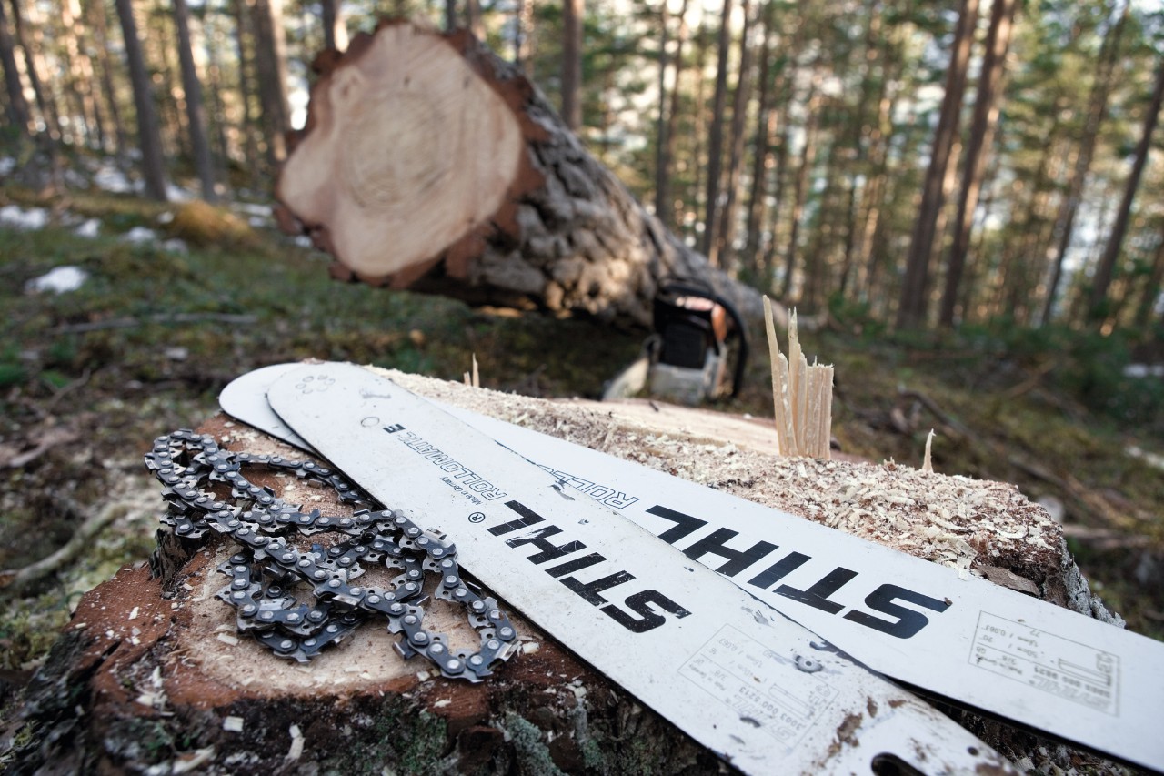 Δύο λάμες STIHL Rollomatic E βρίσκονται σε έναν κορμό δέντρου, δίπλα αλυσίδες πριονιού
