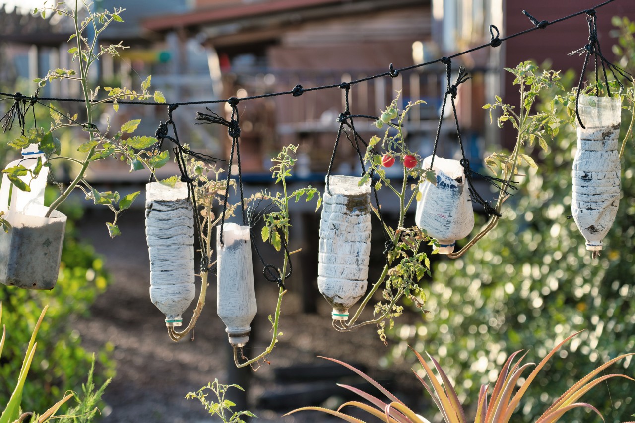 Καφασωτό αναρρίχησης upcycling από παλιά πλαστικά μπουκάλια σε ένα κορδόνι